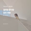 산까치산장 | 엄마랑 쫑이랑 양주 당일치기 여행