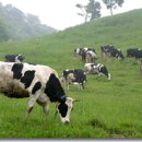 동화목장 이미지