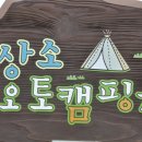 충남 대전 상소 오토캠핑장의 어름꽃 이미지