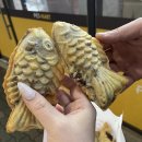 현대자동차 동산점 | 24년 12월 ~ 25년 12월 일상 모음