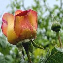 금평농장 이미지