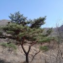 삼보쉼터 이미지