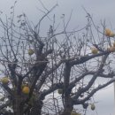 대야점 현대자동차 이미지