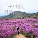 비슬산유스호스텔 | 대구 비슬산 등산로 이용 비슬산자연휴양림 대견사 참꽃 만개 셔틀버스 매진