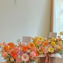 6136 | [선물] 양가부모님 첫인사 선물 어떤 게 적당할까? 대문자 J의 고민과 선택 첫인사 선물 후기