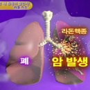 새라돈가스 이미지