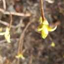 대추골농장 이미지