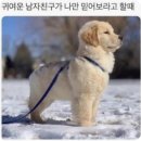 참나무골 이미지