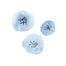 엉알게스트하우스 이미지