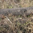 회원동126 이미지