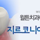 윌튼치과의원 이미지