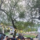 압록유원지 이미지