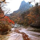 보훈주유소 이미지