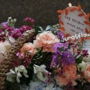 메리엘산부인과 이미지