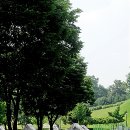 나무그늘 밑의 휴식 이미지