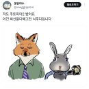 주디
