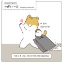 프라이탁 가방에 환장하는 냥이.gif 이미지