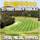 서울뽕칼국수 | 용인플라자CC 라운딩후기와 부쉬넬 A1슬로프 뽕 뽑은 후기 (feat.그린피, 주변맛집, 코스특징)