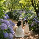 노루생태관찰원 | 제주시 숨은 힐링 명소 노루생태관찰원 산책 후기 [제주 여름 여행, 숲과 수국이 만든 가장 고요한 풍경]