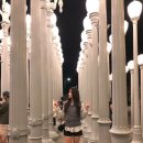 타로스카페
