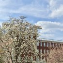 계명대학교 대명캠퍼스 이미지