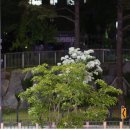 포차천국 평택지제점 이미지