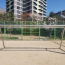 곡정초교 티스토리