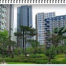 쌍용주공9단지아파트(1차) 이미지