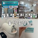 크리스탈체험관리 | 울산 송정동 셀포랩 크리스탈점 체험 후기 | 인바디 검사부터 다이어트 상담까지