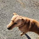 양양하조대마당넓은밤하늘별빛펜션 이미지