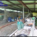 방산보건진료소 이미지