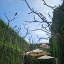 호텔 월드스테이 사우나 | 리트리트 호캉스, 호이안 첫 나들이, HayHay조식, 호텔 스파 무료 마사지(아로마테라피)&amp;사우나 이용 후기