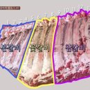 참숯한우 완도 갈비살 이미지