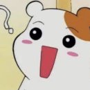 주양돈까스 나라