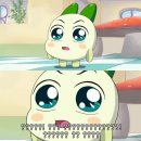 와우짐 | 우당탕탕 바프 도전기 (와우짐 PT 20회 후기)