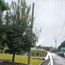 금산갈전보건진료소 이미지