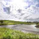 배곧생명공원 이미지