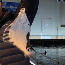 남양주 락 실내바다 낚시터 이미지