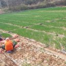 회천농장 이미지