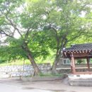 동해마을 이미지