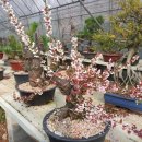 한솔농원 이미지