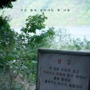 선동물병원 | 살목지 후기-약 스포가 있어요.