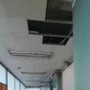 니꼴빌딩 이미지