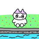 스시코쿠라 이미지