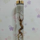 (주)산야초로 이미지