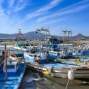 개밥나라 이미지