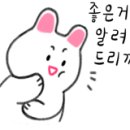 윤쿠치나