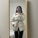 장터로 | SIE 시에 루이스 구스 패딩 (번개장터로 구입한 후기)