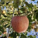 곡성-235 이미지