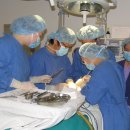 분홍빛으로병원 이미지